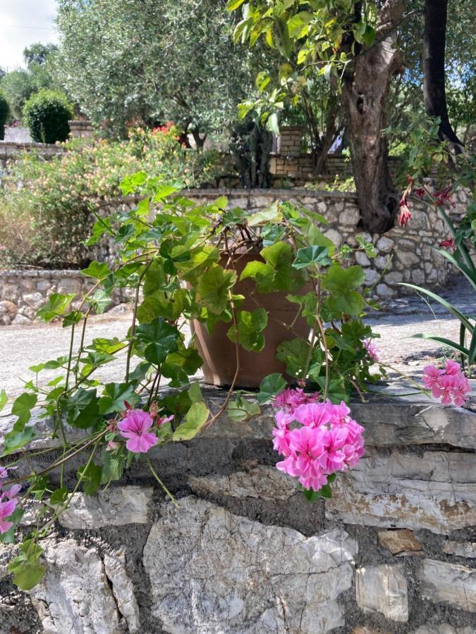 Aliki'S Comfortable Holiday Apartments-Great Location Nisaki  Dış mekan fotoğraf