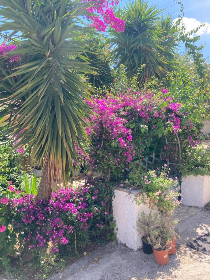 Aliki'S Comfortable Holiday Apartments-Great Location Nisaki  Dış mekan fotoğraf