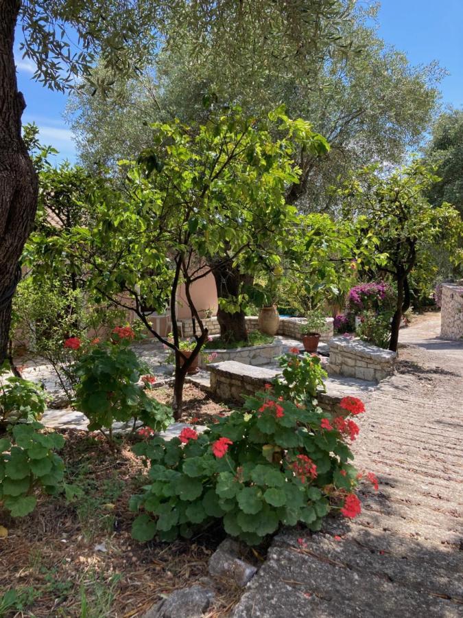 Aliki'S Comfortable Holiday Apartments-Great Location Nisaki  Dış mekan fotoğraf